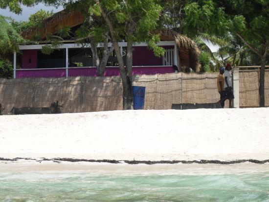 Beach of the Guest House VILLA ROSA - Punta Rucia - Dominican Republic